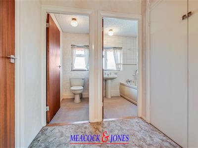 Picture 20